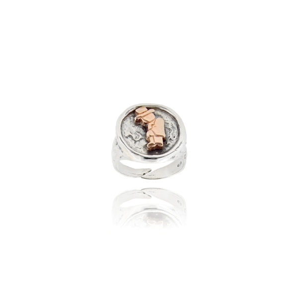 ANELLO TONDO IN ARGENTO MARTELLATO TIT 925 CON GOBBO MISURA REGOLABILE DA 12